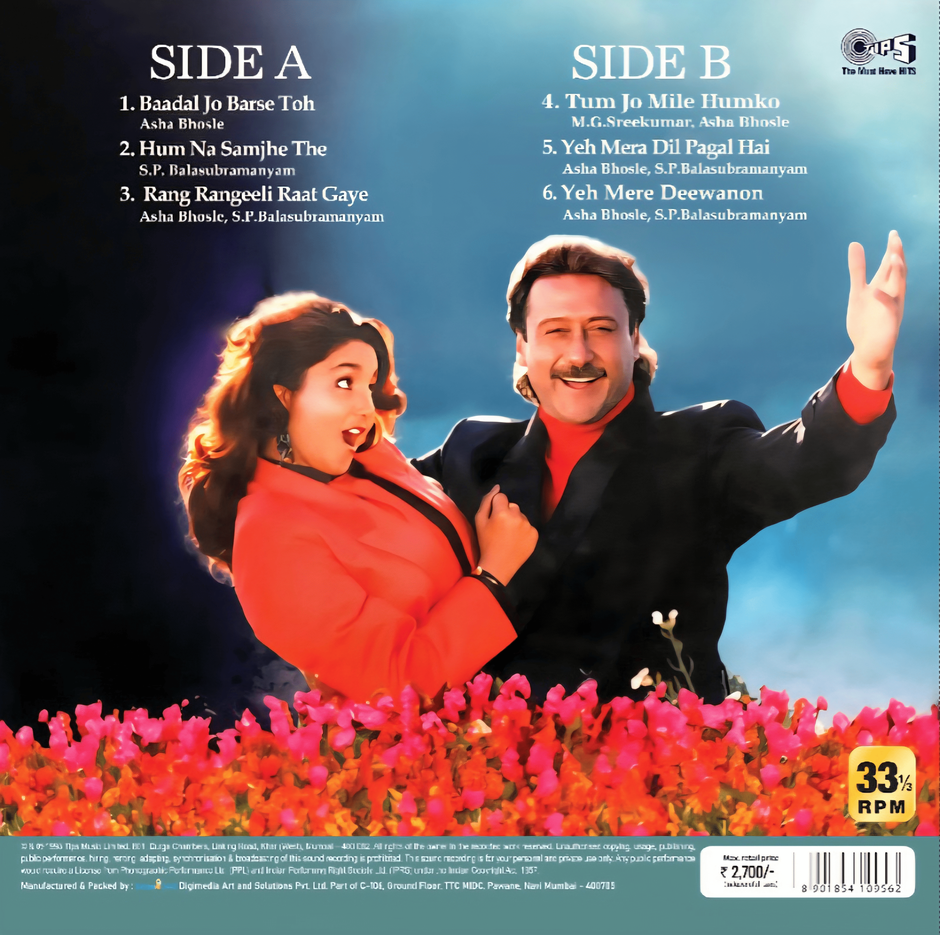 GARDISH - VINYL RECORD  - thumbnail 2