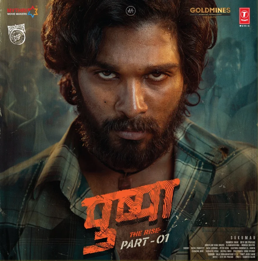 PUSHPA - VINYL RECORD - thumbnail 1