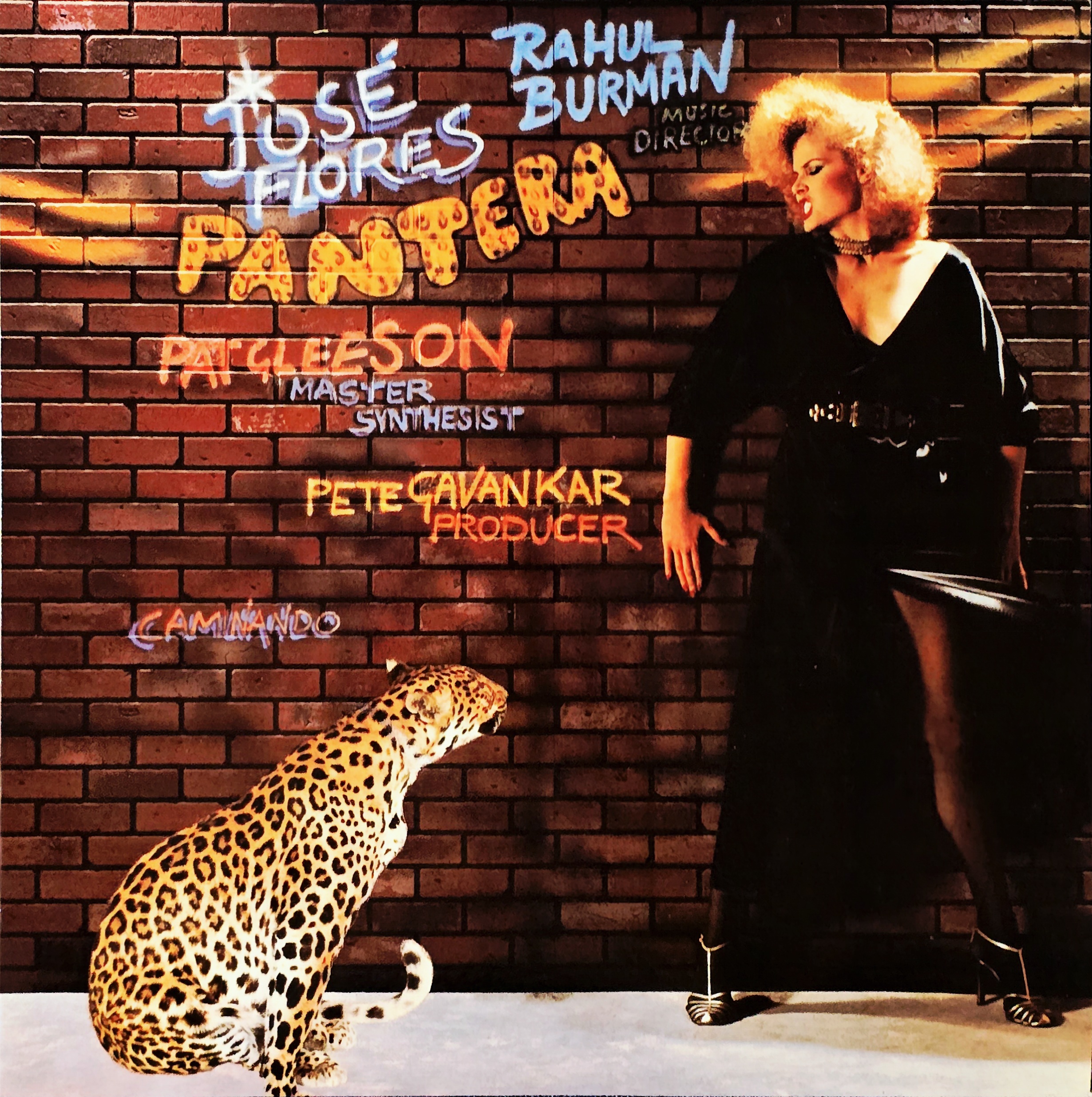 PANTERA BY JOSE FLORES & RD BURMAN - VINYL RECORD - thumbnail 1