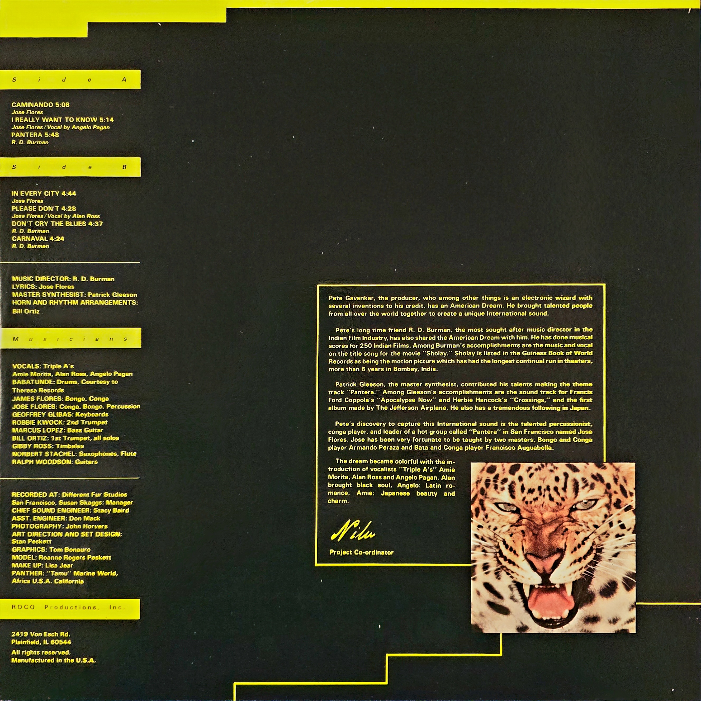 PANTERA BY JOSE FLORES & RD BURMAN - VINYL RECORD - thumbnail 2